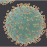 Origins of COVID kettle moraine schools covid-19