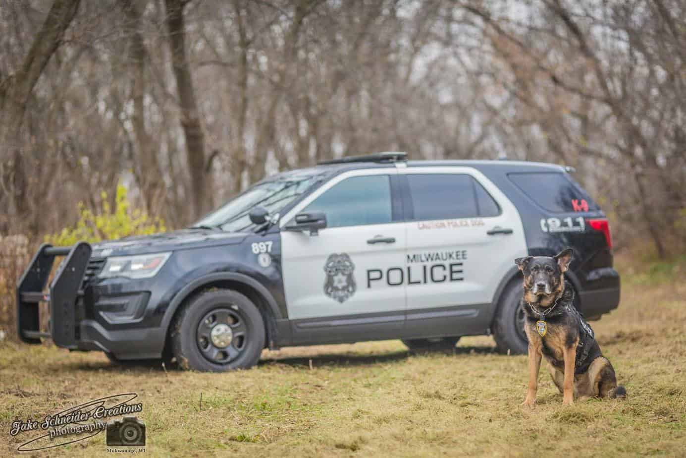 Milwaukee police k9