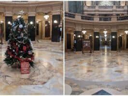 madison capitol tree