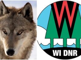 Wisconsin Wolf Hunters