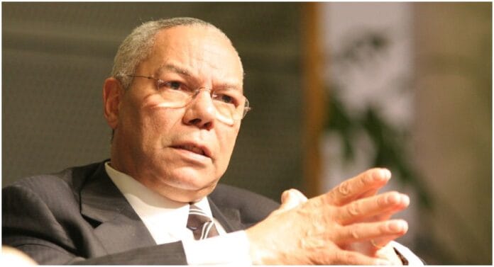 colin powell covid