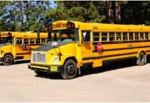 Poll: Wisconsin Voters Prepared to Vote Against Public School Referenda wisconsin school bus driver