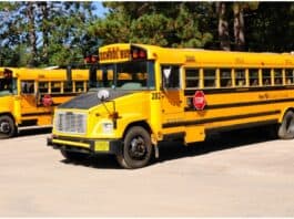 wisconsin school bus driver