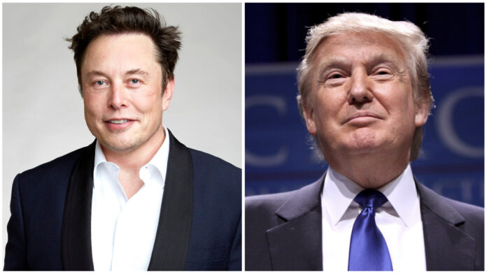 elon musk trump twitter