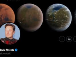 Elon Musk Poll