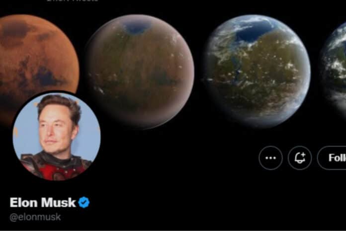 Elon Musk Poll