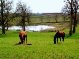 Allenton WI Horse Property For Sale