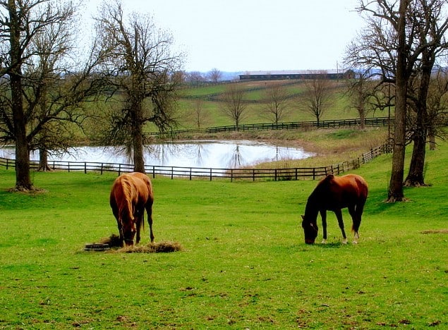 Allenton WI Horse Property For Sale