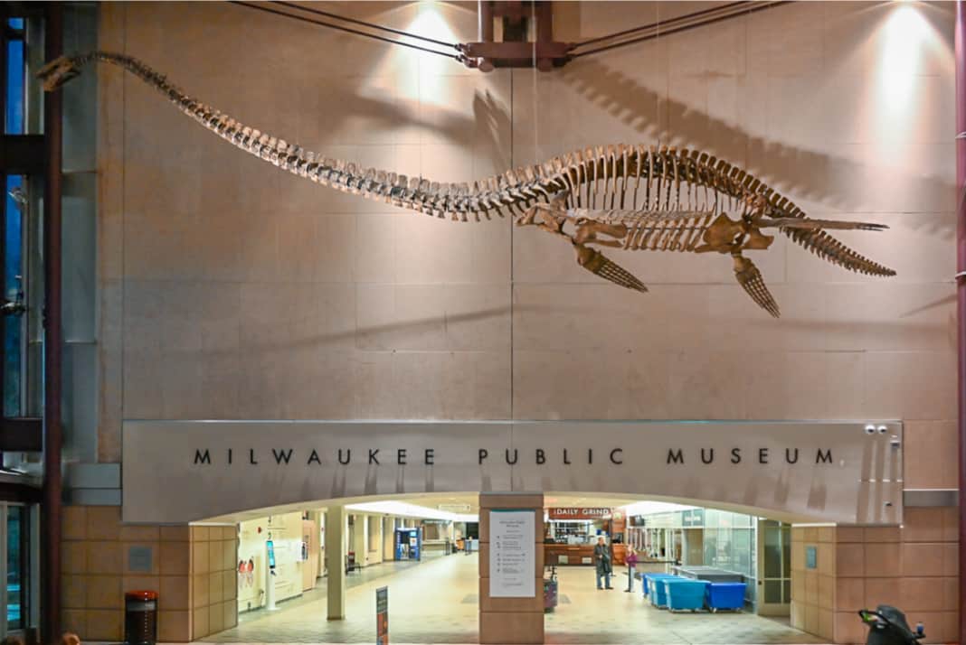 Milwaukee public museum