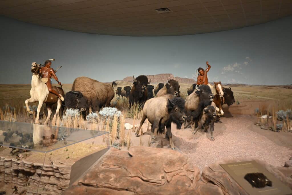 Milwaukee public museum exhibit