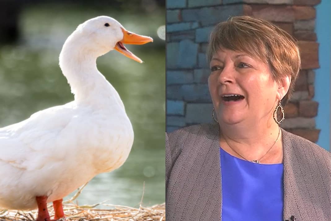 Janet Protasiewicz Ducks