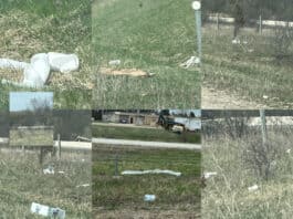 Highway 16 Litter