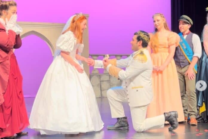 Cinderella Fairytale Engagement