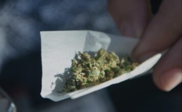 Top Wisconsin Democrat proposes legal marijuana, again Wisconsin Democrat proposes legal marijuana
