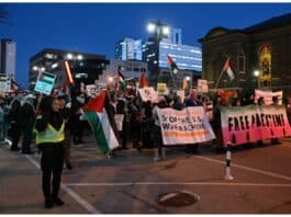 Pro-Palestinian Protest
