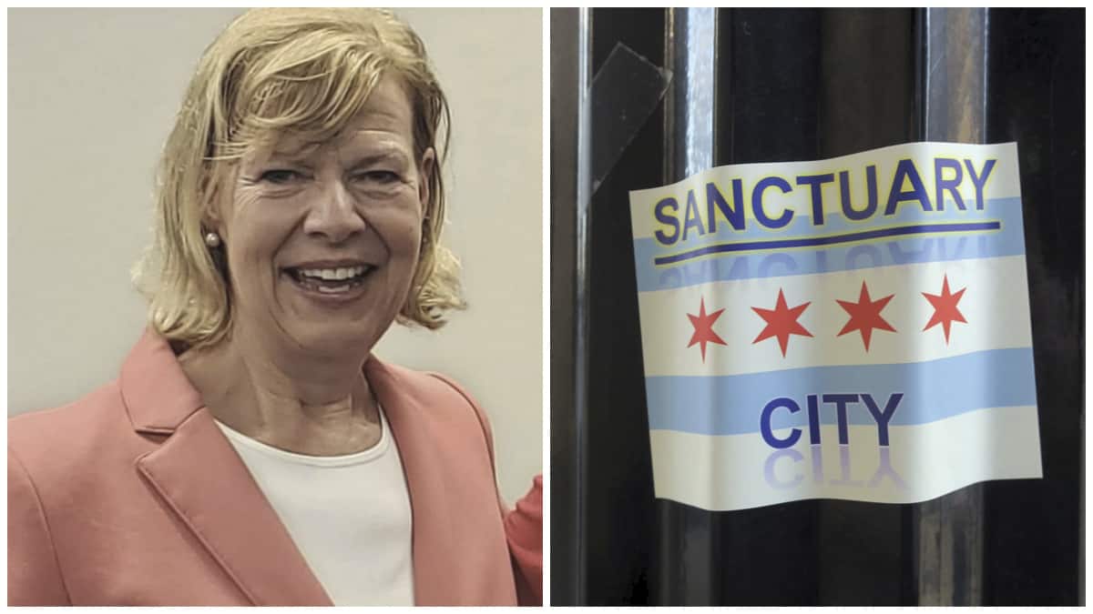 tammy baldwin sanctuary