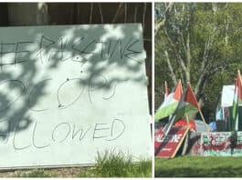 uw-milwaukee protesters