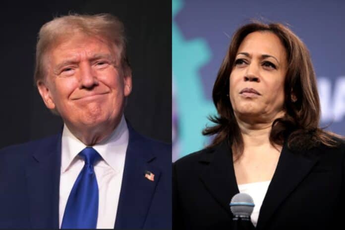 trump vs harris