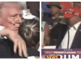 trump shot