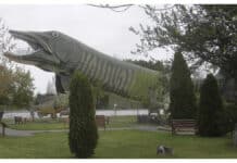 Carry your Sidearm, Wisconsinites, But Don’t Shoot Fish