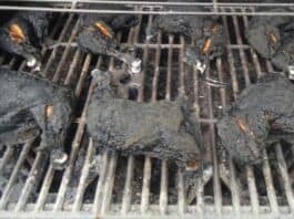 Burnt Chicken