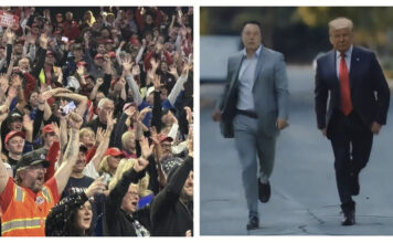 The 17 Reasons Kamala Harris Really Lost