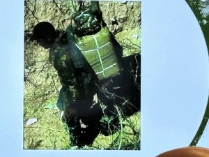 Cochise County Illegal immigrant