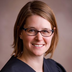 Wisconsin Congressional Maps Emily lonergan