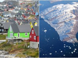 why trump wants greenland