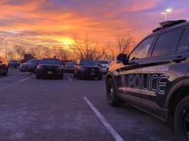 Suspect Stole Wauwatosa Police SQUAD CAR, Fled; 3 Officers Evaluated for Injury: Source