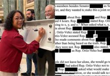 Evers’ Administration Says It’s in the ‘Public Interest’ to BLACK OUT Accusations Against Democrat Legislators sylvia ortiz-velez