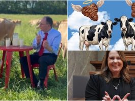 Democrat Bulls Identify as Cows & Dianne Hesselbein Takes a Shiv to Taxpayers With a Silken Smile
