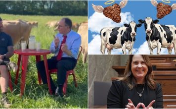 Democrat Bulls Identify as Cows & Dianne Hesselbein Takes a Shiv to Taxpayers With a Silken Smile