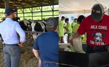 Old McDonald Had a Farm, But Tom Tiffany Really Grew Up on One