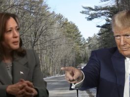 The Wildly Blue Wisconsin County and It’s Not Milwaukee or Dane: Menominee County’s Unusual Democrat Tilt menominee county
