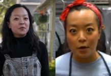 No, Francesca Hong Doesn’t Want to Turn Wisconsin Into Norway. Her Ideologies Are Terrifying, and Here’s What the Media Aren’t Telling You francesca hong