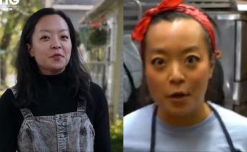 No, Francesca Hong Doesn’t Want to Turn Wisconsin Into Norway. Her Ideologies Are Terrifying, and Here’s What the Media Aren’t Telling You francesca hong