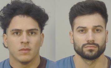 Dane County Sheriff REFUSED Immigration Hold for Suspect in UW-Madison Campus Sexual Assault of Transgender Victim